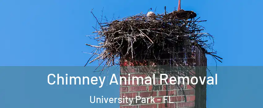  Chimney Animal Removal University Park - FL