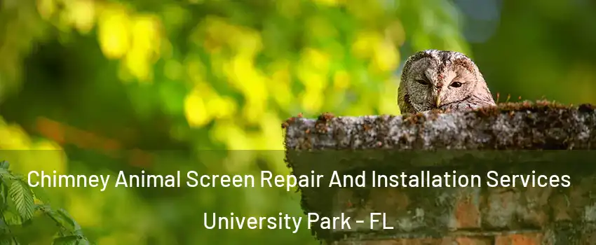 Chimney Animal Screen Repair And Installation Services University Park - FL