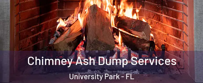  Chimney Ash Dump Services University Park - FL
