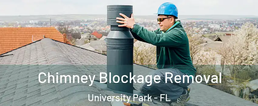  Chimney Blockage Removal University Park - FL