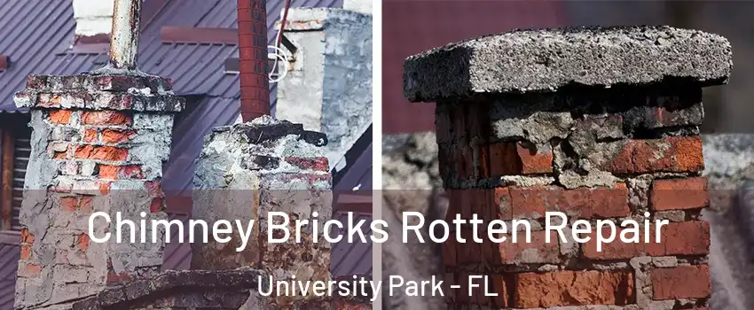  Chimney Bricks Rotten Repair University Park - FL