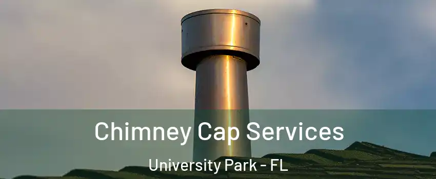  Chimney Cap Services University Park - FL