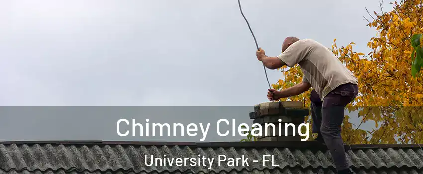  Chimney Cleaning University Park - FL
