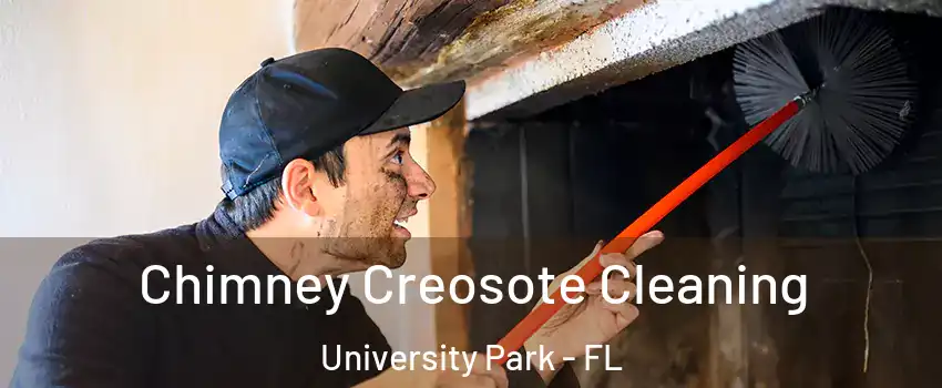  Chimney Creosote Cleaning University Park - FL