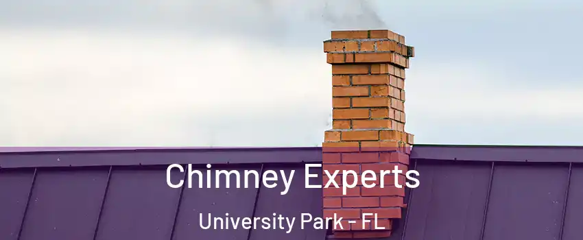  Chimney Experts University Park - FL