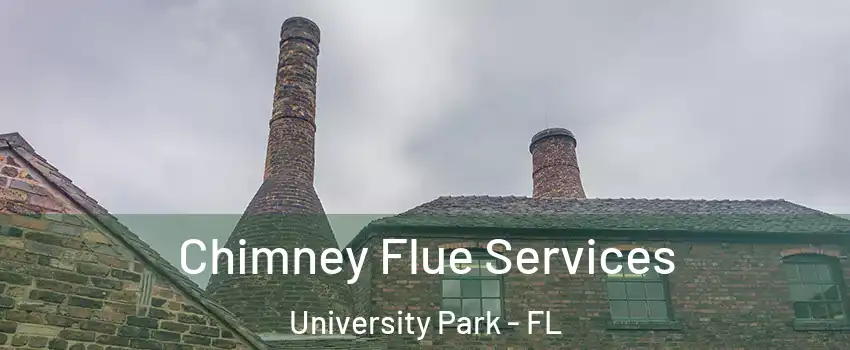  Chimney Flue Services University Park - FL