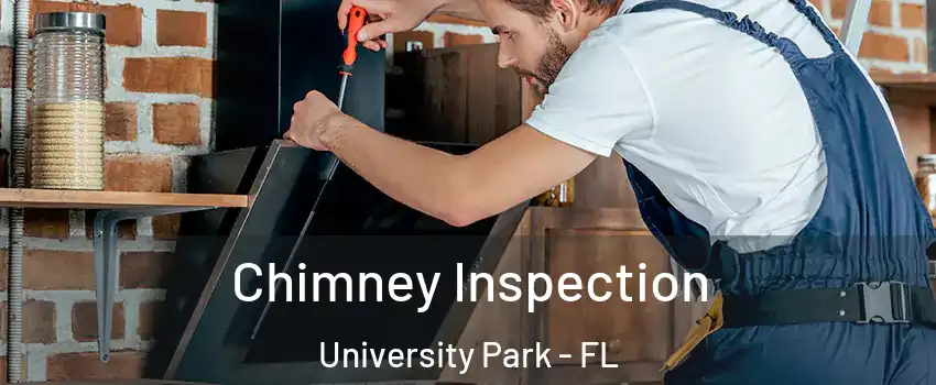  Chimney Inspection University Park - FL
