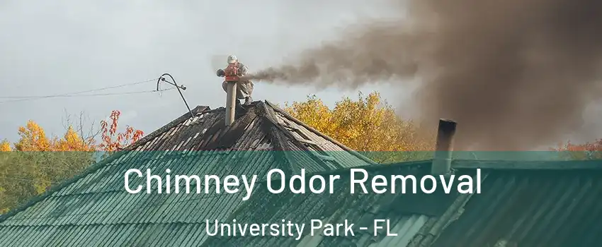  Chimney Odor Removal University Park - FL