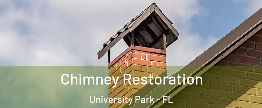  Chimney Restoration University Park - FL