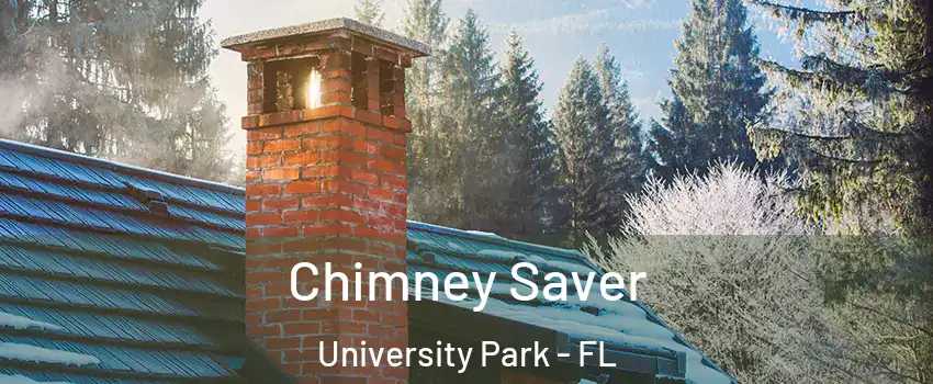  Chimney Saver University Park - FL
