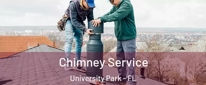  Chimney Service University Park - FL