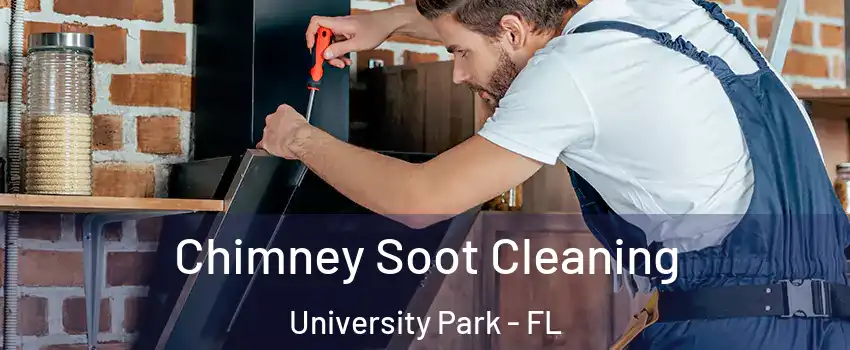  Chimney Soot Cleaning University Park - FL