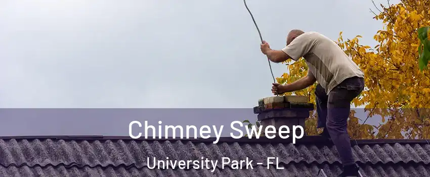  Chimney Sweep University Park - FL