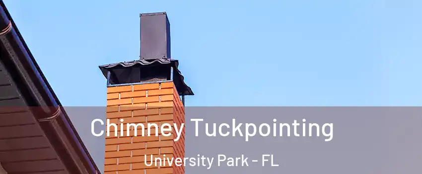  Chimney Tuckpointing University Park - FL