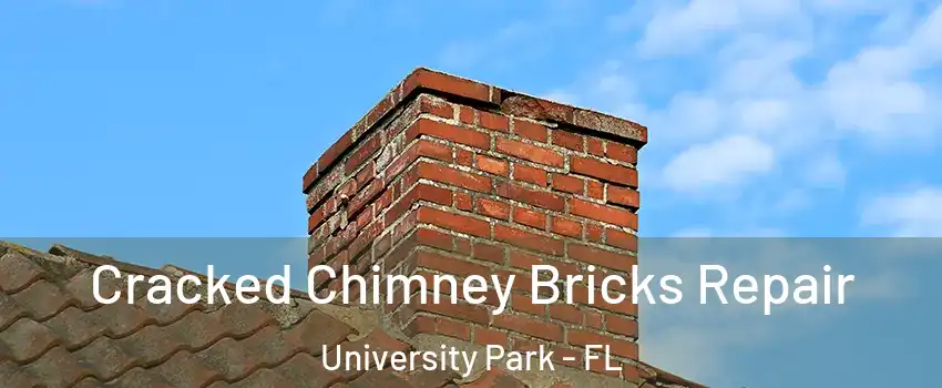  Cracked Chimney Bricks Repair University Park - FL