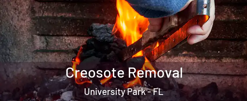  Creosote Removal University Park - FL