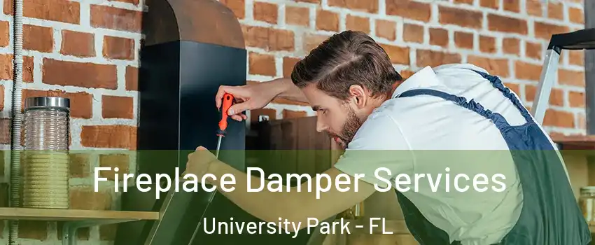  Fireplace Damper Services University Park - FL