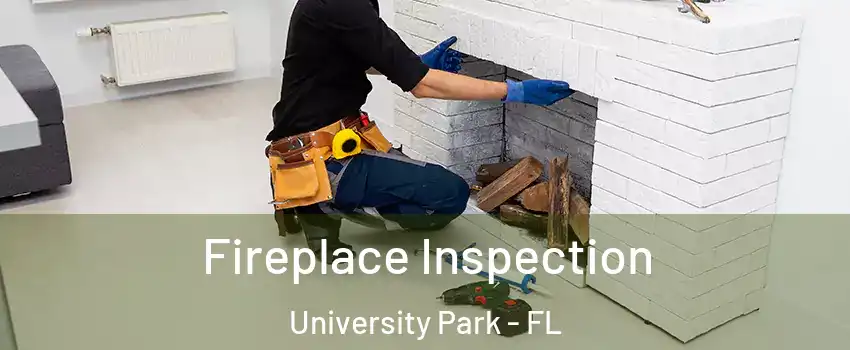  Fireplace Inspection University Park - FL