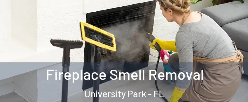  Fireplace Smell Removal University Park - FL
