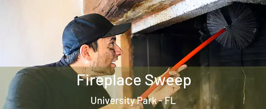  Fireplace Sweep University Park - FL