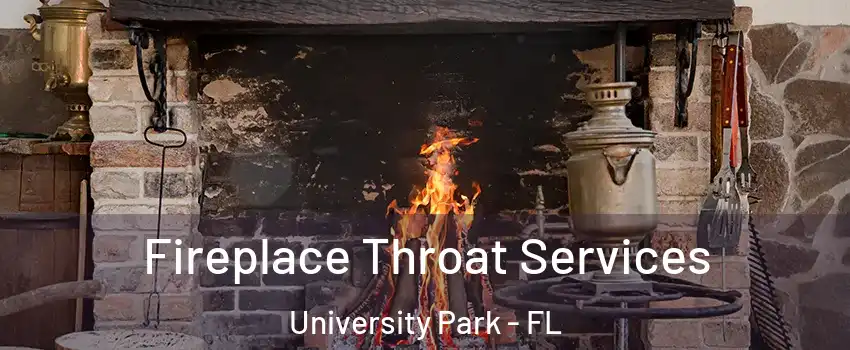  Fireplace Throat Services University Park - FL