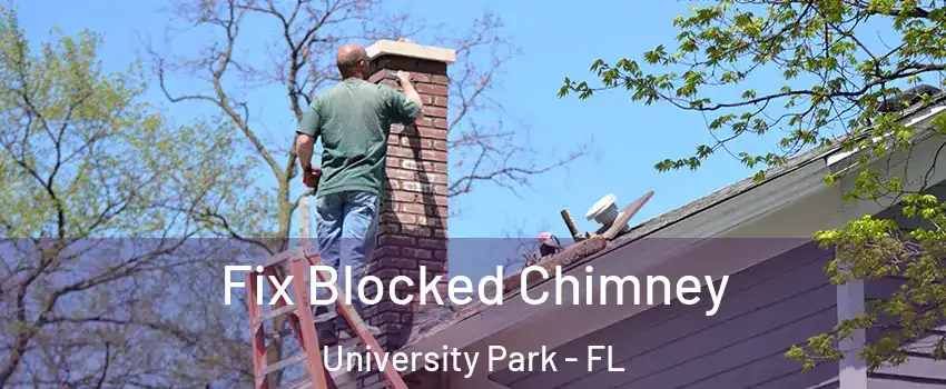  Fix Blocked Chimney University Park - FL