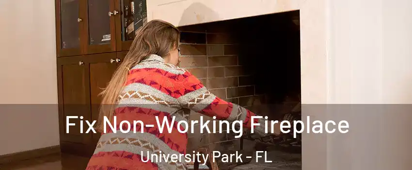  Fix Non-Working Fireplace University Park - FL