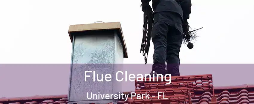  Flue Cleaning University Park - FL