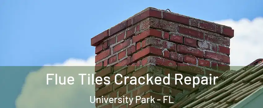  Flue Tiles Cracked Repair University Park - FL