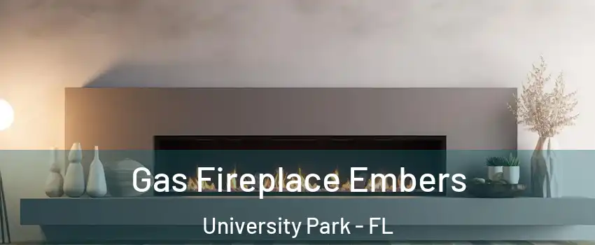  Gas Fireplace Embers University Park - FL
