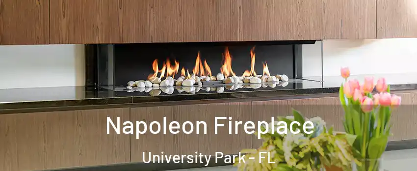  Napoleon Fireplace University Park - FL
