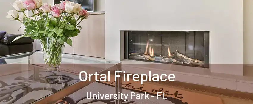 Ortal Fireplace University Park - FL
