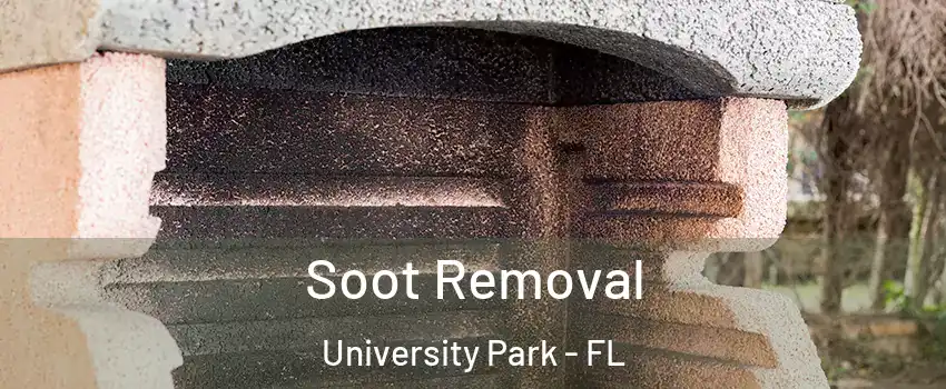  Soot Removal University Park - FL